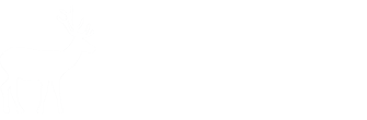 The White Hart Hotel Dartmoor